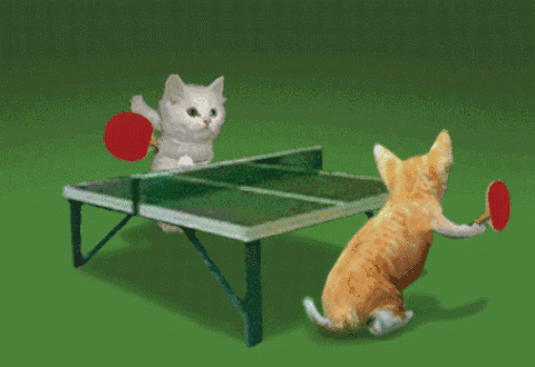 9.gif