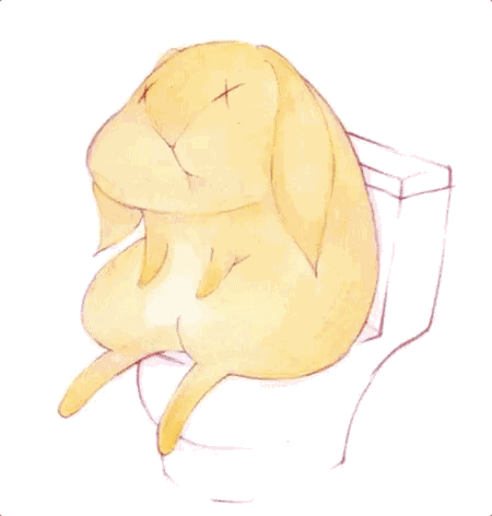 11.gif