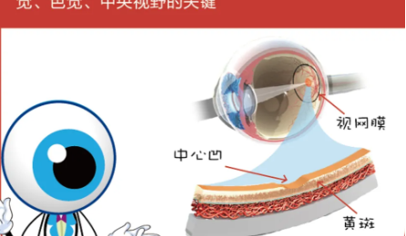 警惕 | 別讓它偷走你的視力
